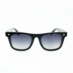 DESPADA DS2380 C2 142 Siyah Unisex Güneş Gözlüğü