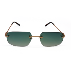 PHILIPPE MÜLLER PM3047S C4 60 Kadın Güneş Gözlüğü