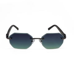 PHILIPPE MÜLLER PM3058S C3 54 Kadın Güneş Gözlüğü